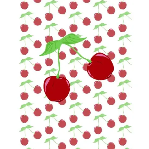 Coperta cărții Cherries Journal