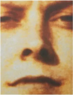 Coperta cărții Sarah Lucas: au naturel