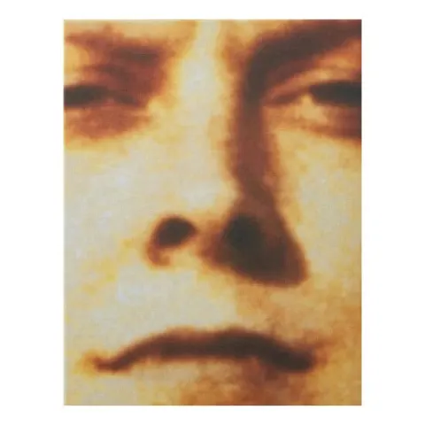 Coperta cărții Sarah Lucas: au naturel