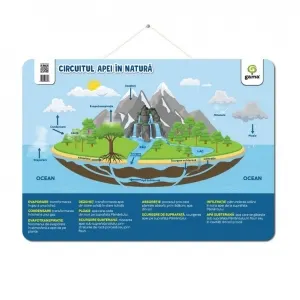 Coperta cărții Circuitul apei in natura. Postere educative