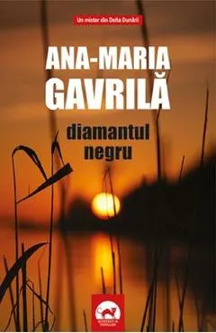 Coperta cărții Diamantul negru