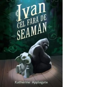 Coperta cărții Ivan cel fără de seamăn