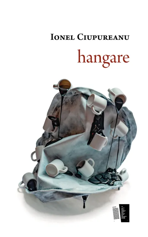 Coperta cărții hangare