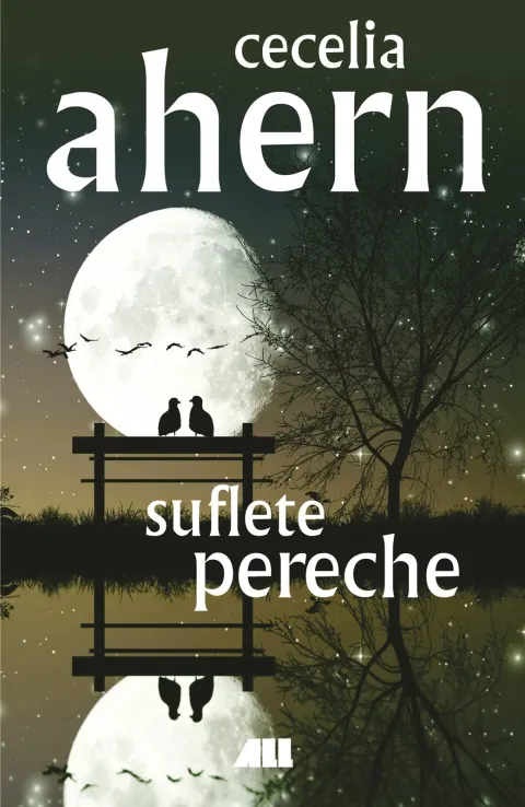Coperta cărții Suflete pereche