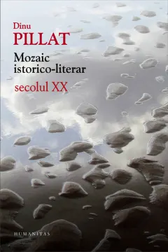 Coperta cărții Mozaic istorico-literar. Secolul XX