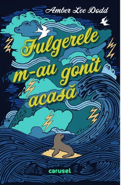 Coperta cărții Fulgerele m-au gonit acasă
