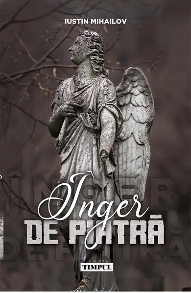 Coperta cărții Inger de piatra