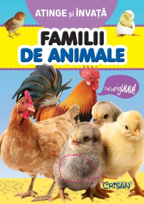Coperta cărții Familii de animale