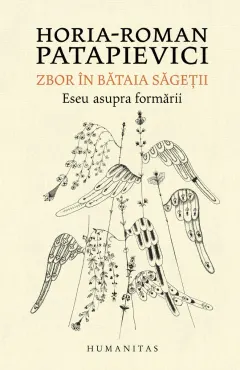 Coperta cărții Zbor în bătaia săgeții. Eseu asupra formării