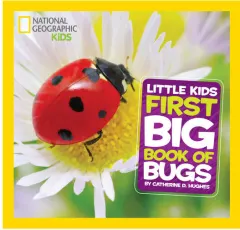 Coperta cărții Little kids first big book of bugs