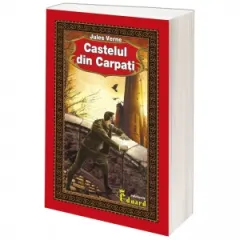 Coperta cărții Castelul Din Carpati
