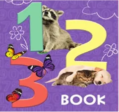 Coperta cărții 1 2 3 Book