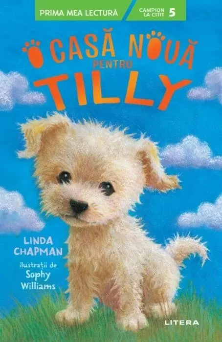 Coperta cărții O casa noua pentru Tilly