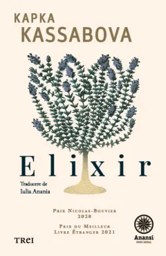Coperta cărții Elixir: în valea de la capătul timpului
