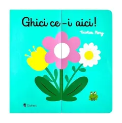 Coperta cărții Ghici ce-i aici!