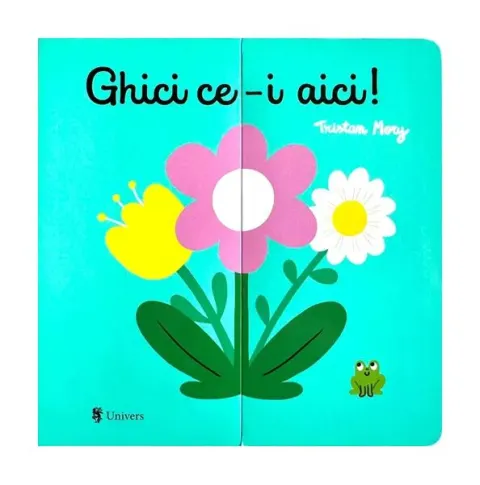 Coperta cărții Ghici ce-i aici!