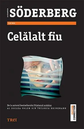 Coperta cărții Celălalt fiu