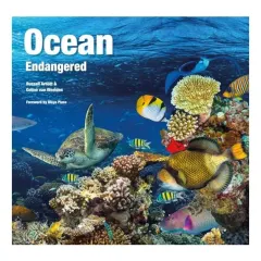Coperta cărții Ocean