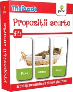 Coperta cărții Propozitii scurte. Activitati premergatoare cititului si scrisului