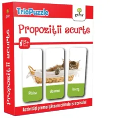 Coperta cărții Propozitii scurte. Activitati premergatoare cititului si scrisului