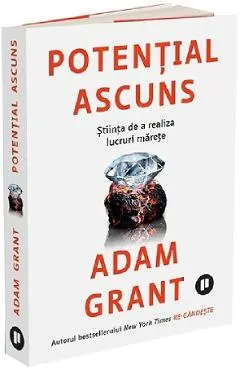 Coperta cărții Potential ascuns
