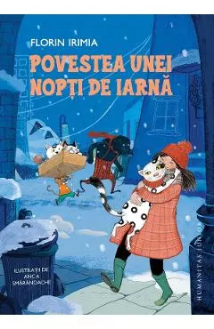 Coperta cărții Povestea unei nopti de iarna