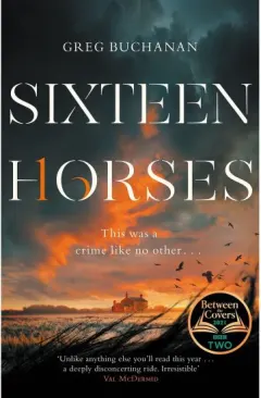 Coperta cărții Sixteen Horses