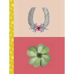 Coperta cărții Lucky day journal