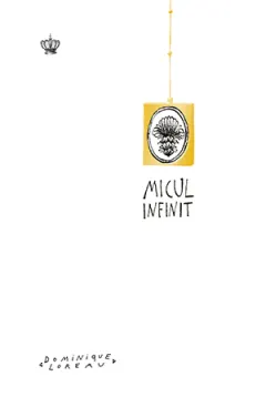 Coperta cărții Micul infinit