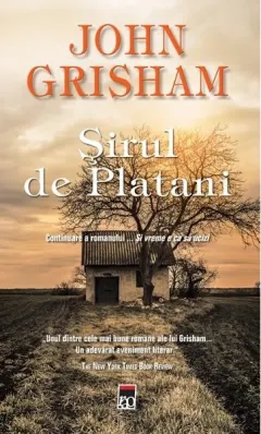 Coperta cărții Sirul de platani