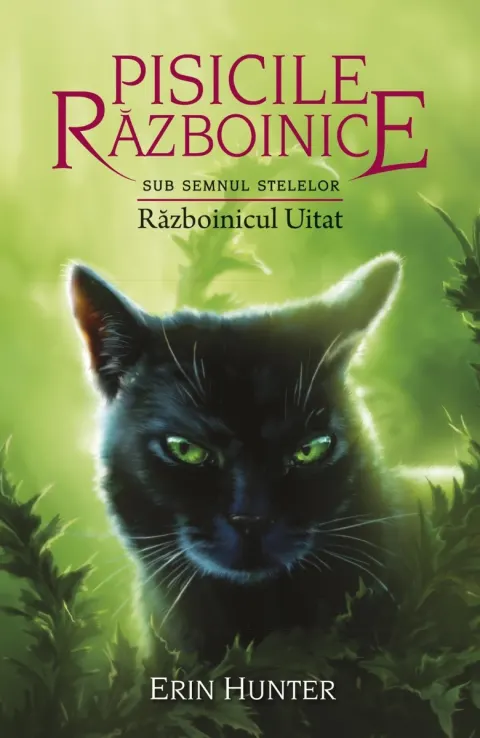 Coperta cărții Pisicile razboinice (vol. 23): Sub semnul stelelor. Razboinicul uitat