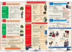 Coperta cărții Gramatica limbii romane: Notiuni de vocabular - plansa didactica A4