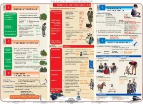 Coperta cărții Gramatica limbii romane: Notiuni de vocabular - plansa didactica A4