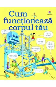 Coperta cărții Cum functioneaza corpul tau