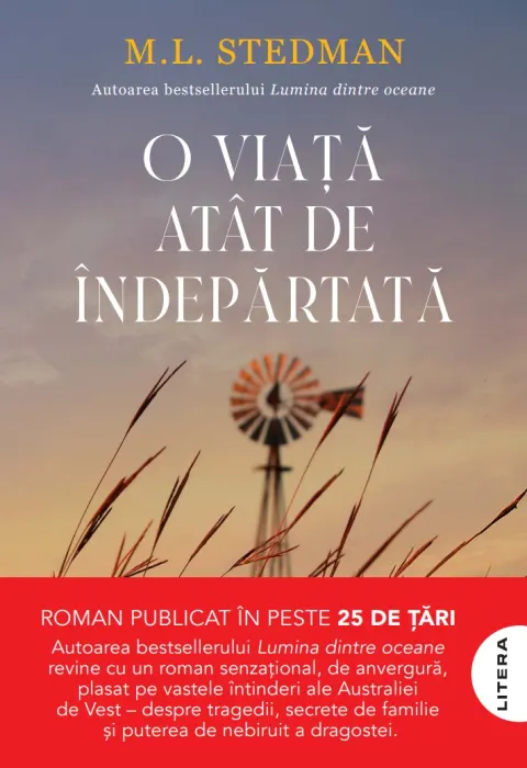 Coperta cărții O viata atat de indepartata