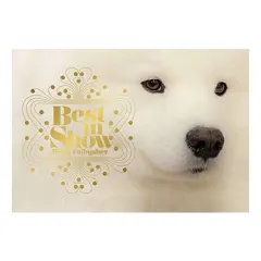 Coperta cărții Best in Show (Dog Photography) (Dog Show Photo Book)