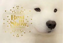 Coperta cărții Best in Show (Dog Photography) (Dog Show Photo Book)