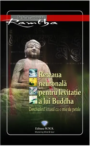 Coperta cărții Rețeaua neuronală pentru levitație a lui Buddha