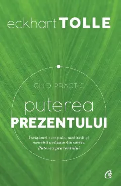 Coperta cărții Puterea prezentului. Ghid practic ed.3
