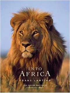 Coperta cărții Into Africa : The Poster Portfolio