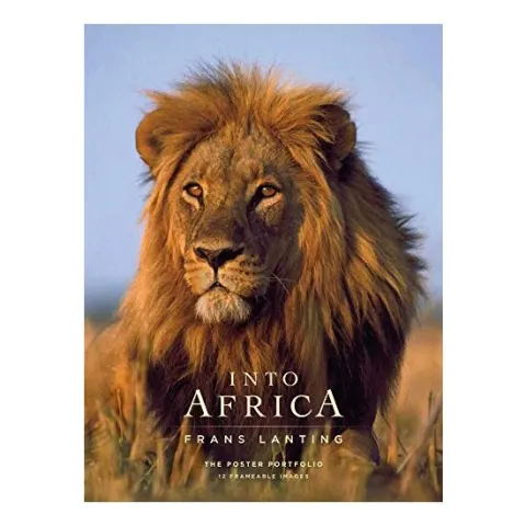 Coperta cărții Into Africa : The Poster Portfolio