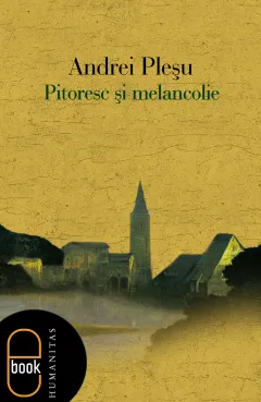 Coperta cărții Pitoresc și melancolie (ebook)-pdf