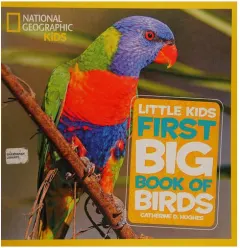 Coperta cărții Little kids first big book of birds