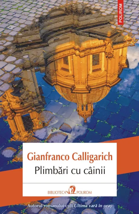 Coperta cărții Plimbări cu câinii