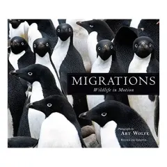 Coperta cărții Migrations