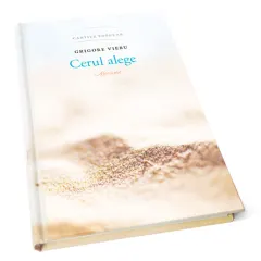Coperta cărții Cerul alege