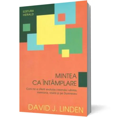 Coperta cărții Mintea ca întâmplare