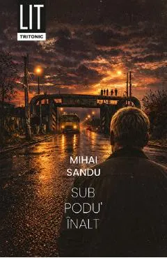 Coperta cărții Sub Podu' Inalt
