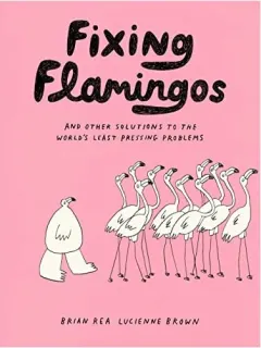 Coperta cărții Fixing Flamingos