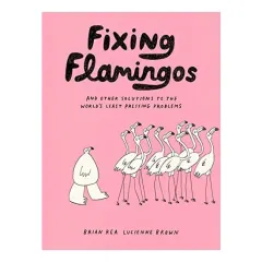 Coperta cărții Fixing Flamingos